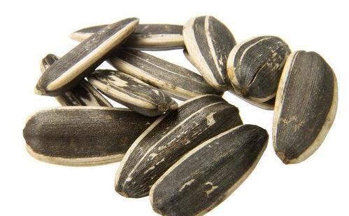 大包瓜子吃瓜,吃瓜群众的欢乐盛宴