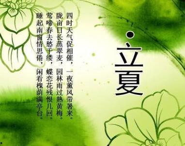 吃瓜季节优美句子,吃瓜季节的美丽篇章