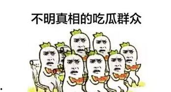 吃瓜群众苏某,揭秘娱乐圈幕后故事