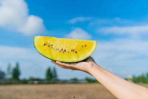 卡瓦瓜怎么吃,探索美味新境界