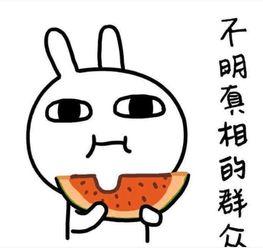 吃瓜大鳄,吃瓜大鳄背后的真相与内幕