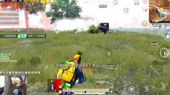 瓜队吃鸡,一场惊心动魄的电竞盛宴