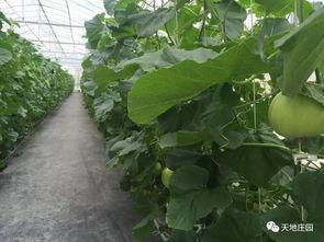 免费福利吃瓜,一起吃瓜狂欢，共享快乐时光！