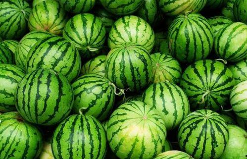 什么瓜必吃,揭秘“什么瓜必吃”的五大理由
